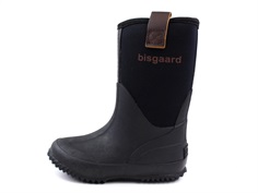 Bisgaard